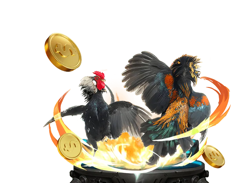 Các loại kèo cược đá gà phổ biến tại MM88TTKM